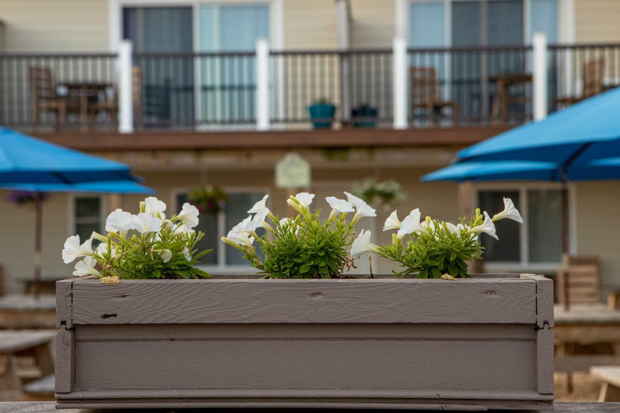 Aqualina Inn Montauk (Adults Only) Eksteriør bilde